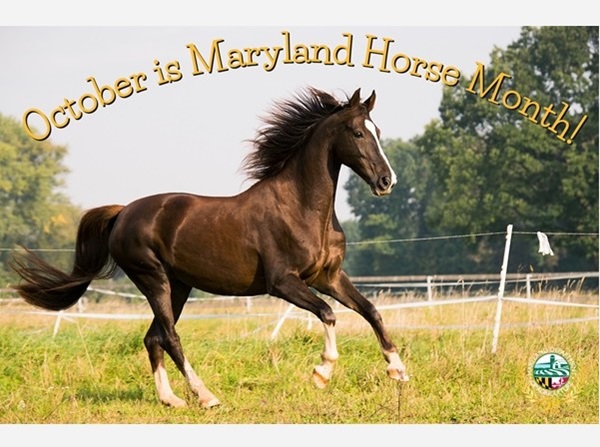 Maryland Horse Month October