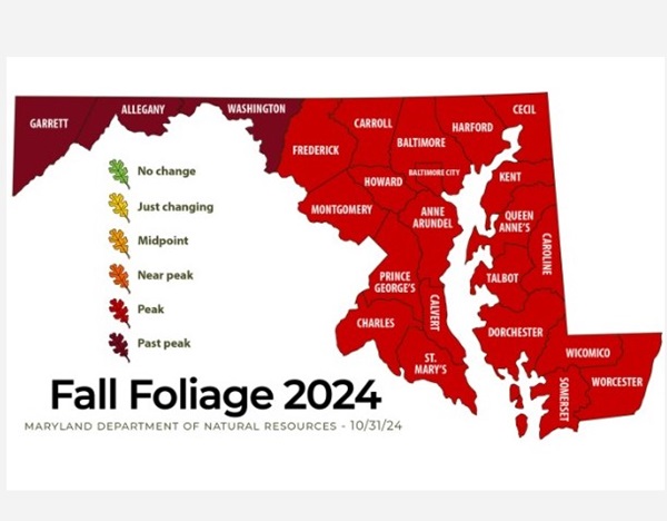 Maryland Fall Foliage Report 20241101