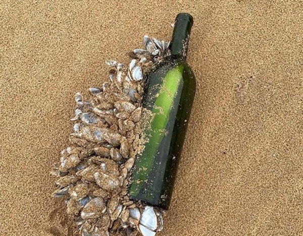 Towson Message in a Bottle Australia 2