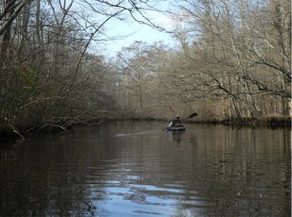 Dividing Creek Rural Legacy Area