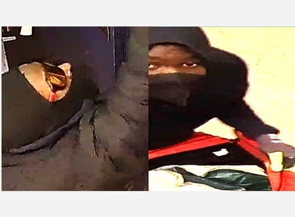 Rosedale MD Burglary Suspects 202501