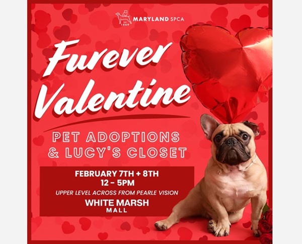 White Marsh Mall Pet Adoption Event 20240207