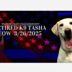 Baltimore County Police Department K9 Tasha