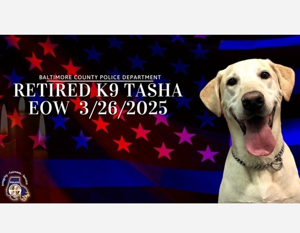 Baltimore County Police Department K9 Tasha