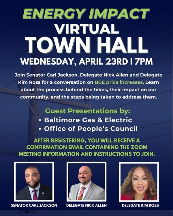 Energy Impact Virtual Town Hall Baltimore County MD 202504