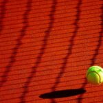 Tennis Ball Court