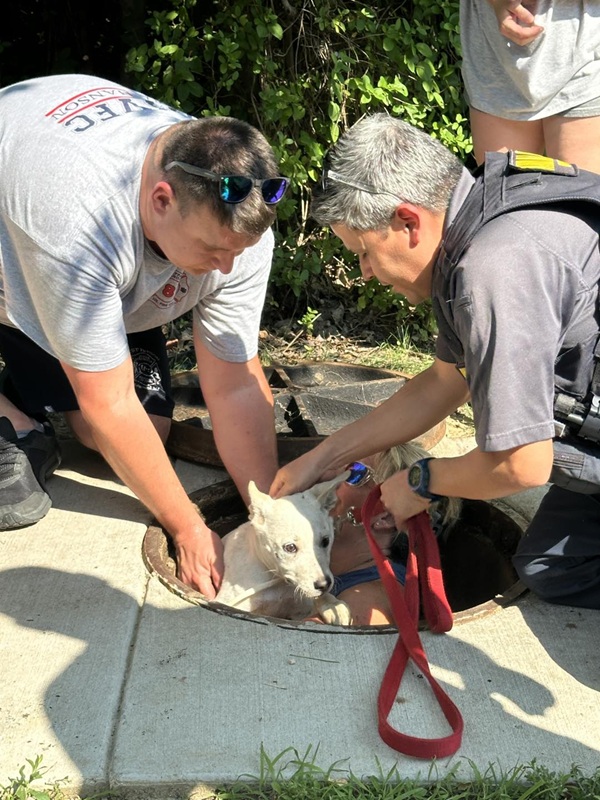 Joppa MD Dog Rescue Storm Drain 202507a