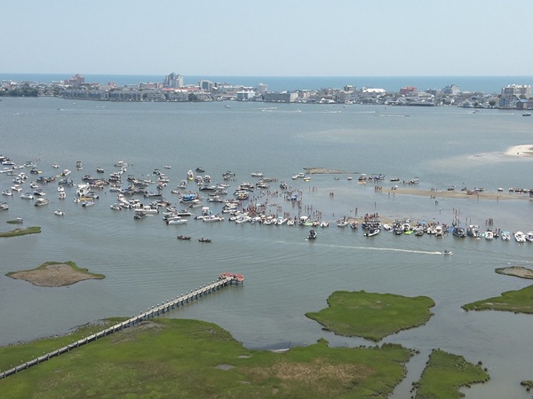 Maryland DNR Operation Dry Water Saturation Patrol Ocean City MD 20250704