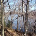 Tuckahoe Creek