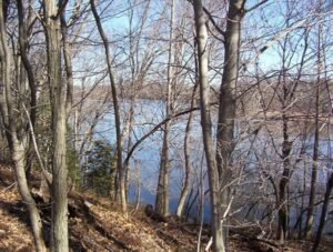 Tuckahoe Creek